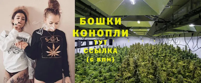 МАРИХУАНА SATIVA & INDICA  блэк спрут ссылки  Высоковск 